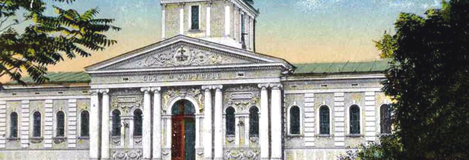 the steam bath